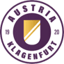 Team logo