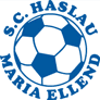 Team logo