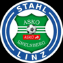 Team logo